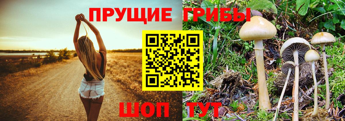 Псилоцибиновые грибы ЛСД Лыткарино